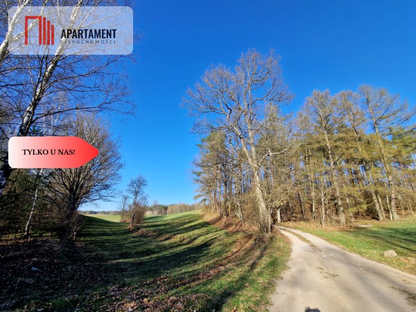 Działka siedliskowa Skorzewo