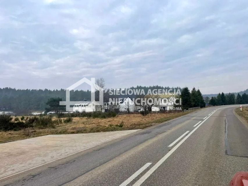 Zdjęcie 2