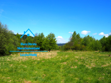 Działka inna Grzechynia