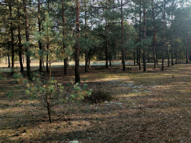 Działka budowlana Tuliska