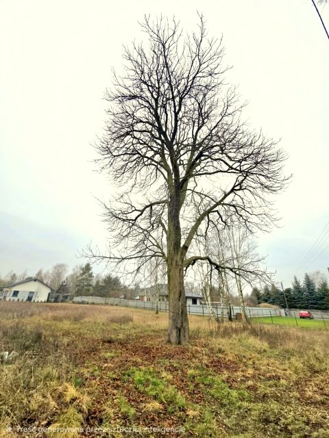 Działka budowlana Sowia Wola