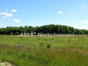 Działka budowlana Sielachowskie