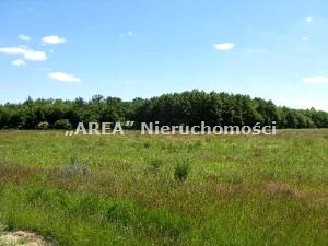 Działka budowlana Sielachowskie