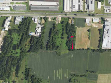 Zalesiona działka Oświęcim