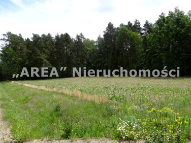 Działka rolna Pasynki