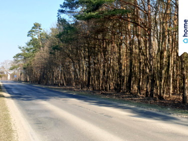 Działka rolna Łuszczów Pierwszy