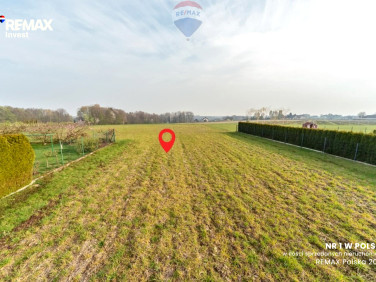 Działka budowlana Pisarzowice