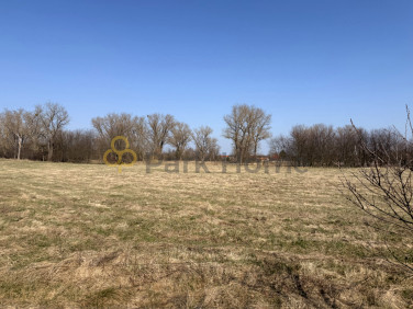 Działka inna Lubiechów