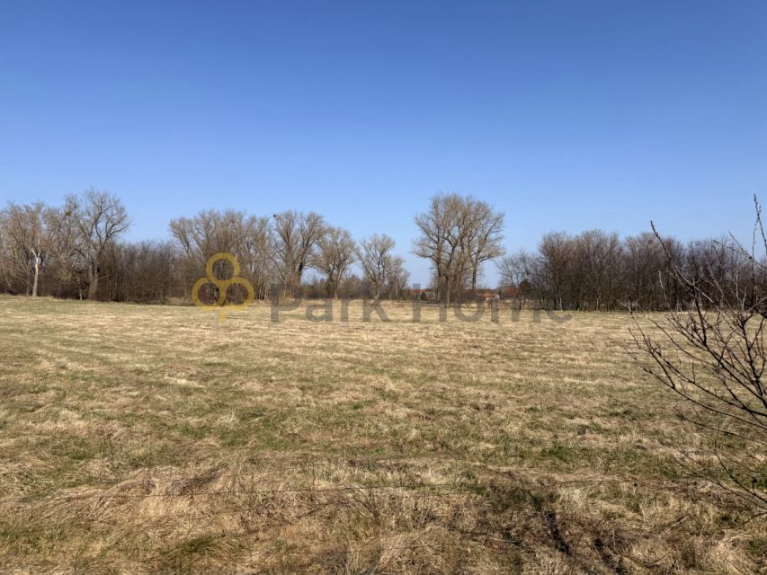 Działka inna Lubiechów