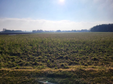 Działka rolna Guzew