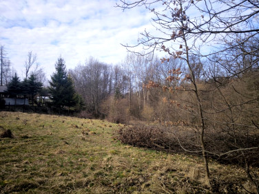 Działka inna Mogilany