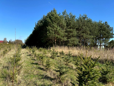 Działka budowlana Bartkowice