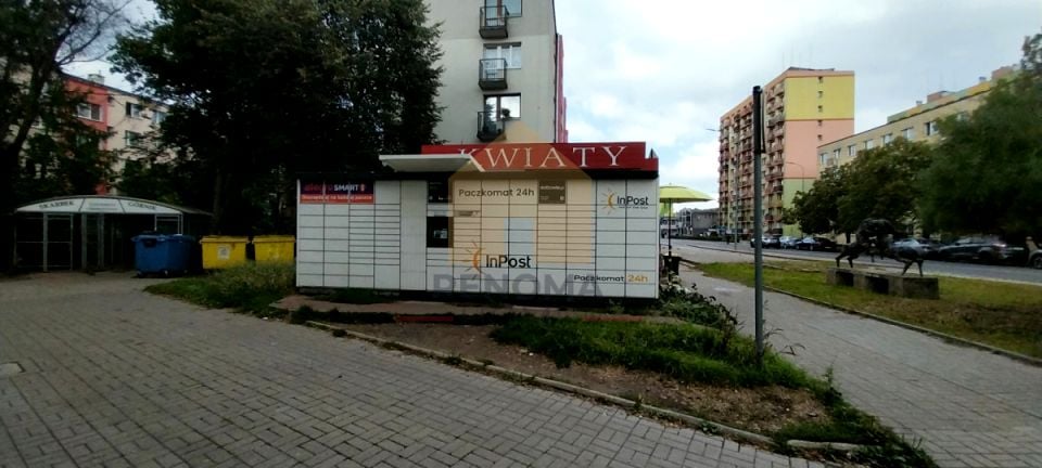 Zdjęcie 3