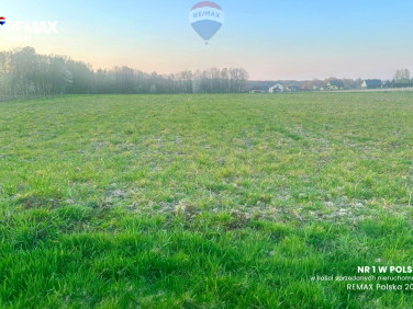 Działka budowlana Pisarzowice