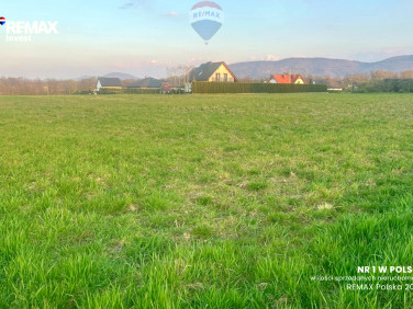 Działka budowlana Pisarzowice