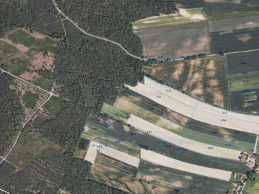 Działka rolna Okmiany