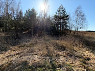 Działka budowlana Maszków