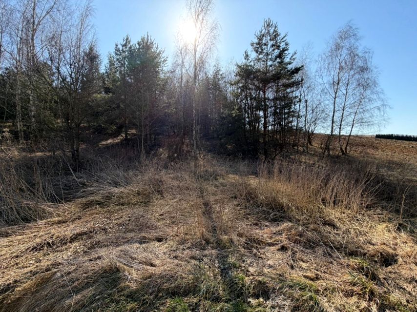 Działka budowlana Maszków