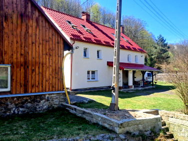Dom Męcinka