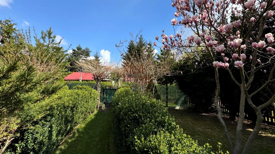 Mieszkanie Świebodzice