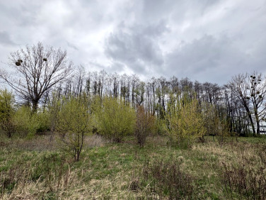 Działka budowlana Mszczonów