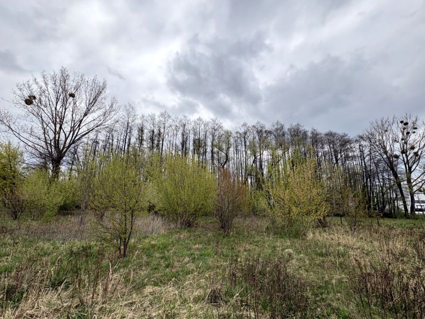 Działka budowlana Mszczonów