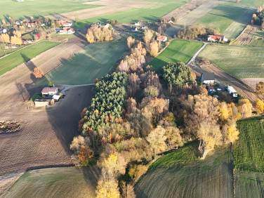 Działka siedliskowa Jania Góra