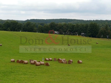 Działka rolna Dobrąg