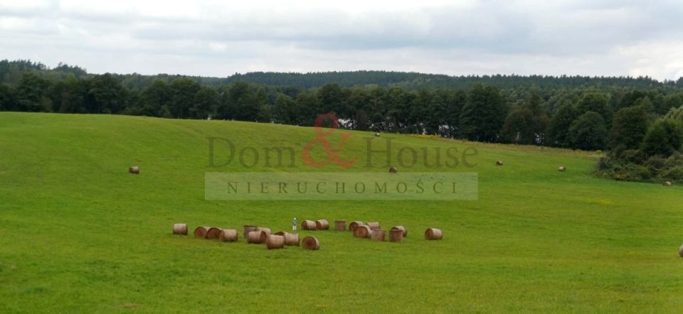 Działka rolna Dobrąg