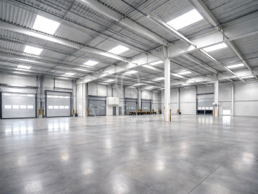 Budynek użytkowy Szczecin