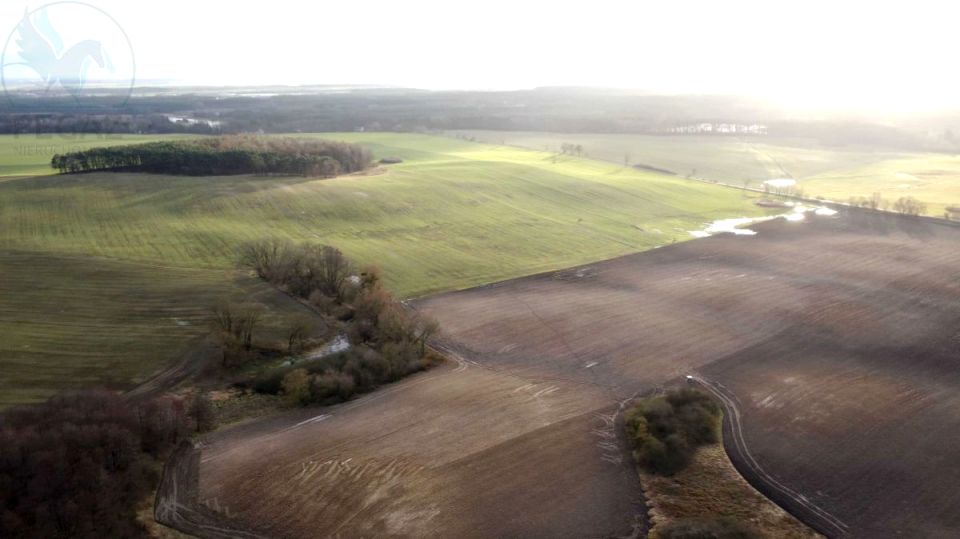 Działka budowlana Pruszewiec