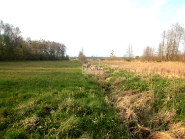 Działka inwestycyjna Milcz