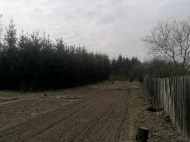 Działka budowlana Nietoperek