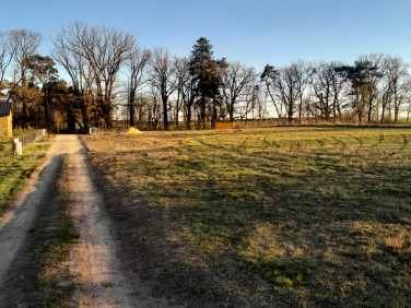 Działka budowlana Chycina