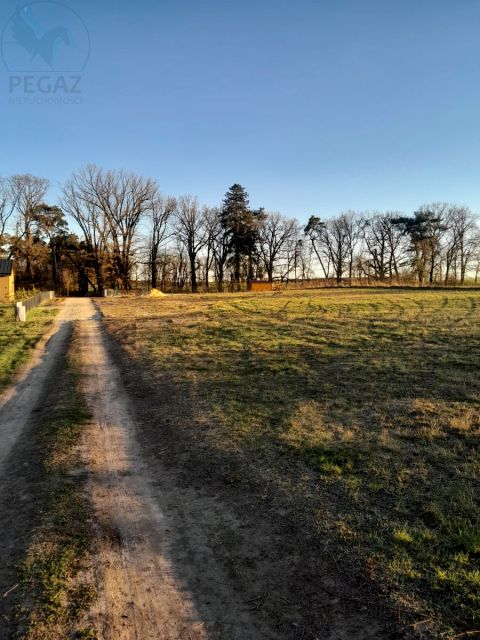 Działka budowlana Chycina