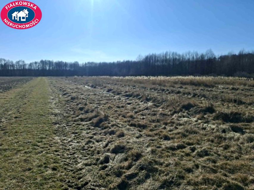 Działka inna Aleksandria sprzedam