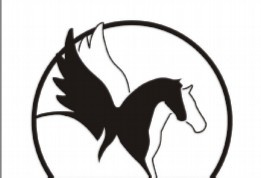 PEGAZ NIERUCHOMOŚCI