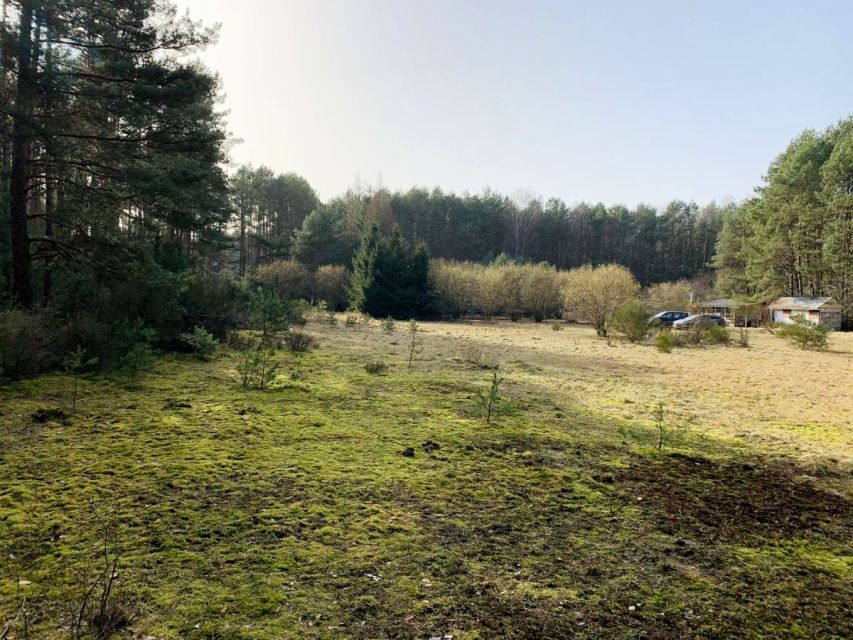 Działka budowlana Drzewce