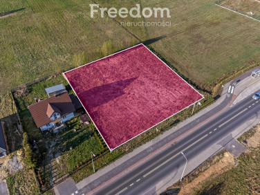 Działka Marków-Towarzystwo