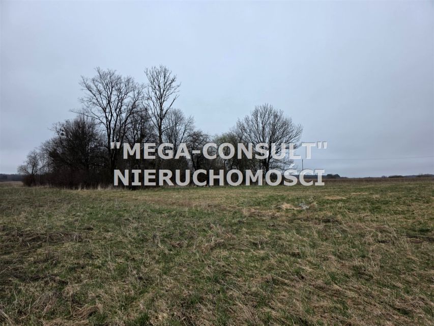 Zdjęcie 3