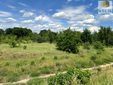 Działka Biała Podlaska