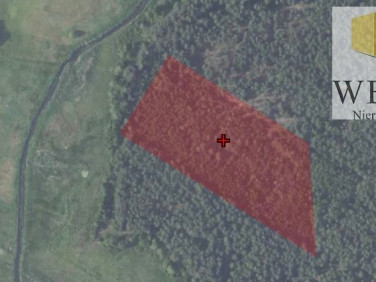 Działka Wisznice-Kolonia