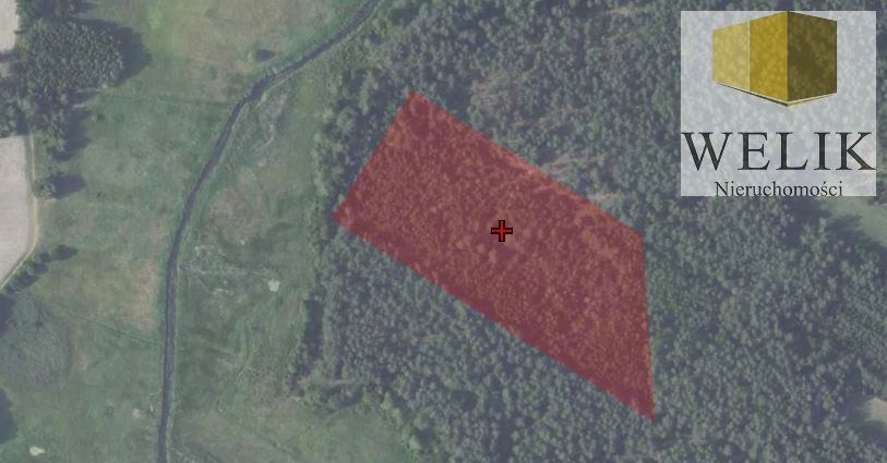 Działka Wisznice-Kolonia