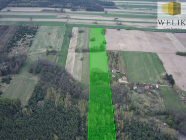 Działka Hołowczyce-Kolonia