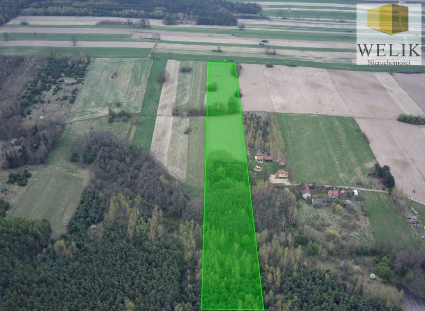 Działka Hołowczyce-Kolonia