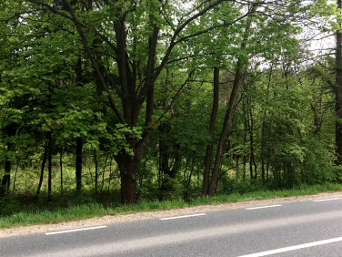 Działka Biała Podlaska