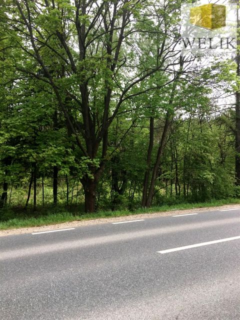 Działka Biała Podlaska