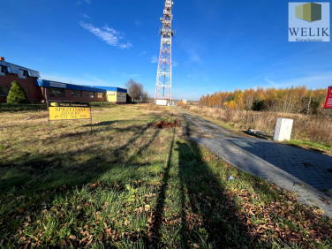 Działka Biała Podlaska