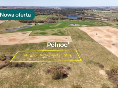Działka Liski