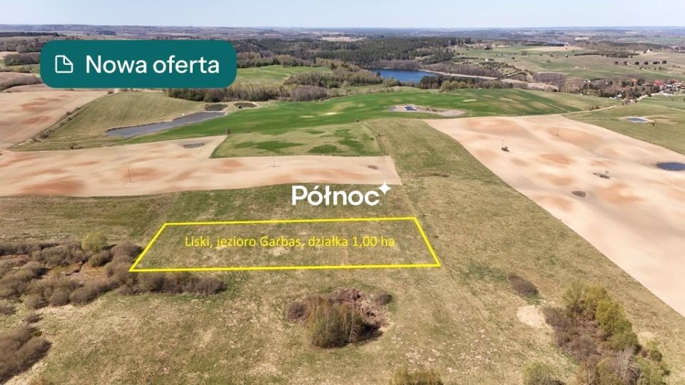 Działka Liski